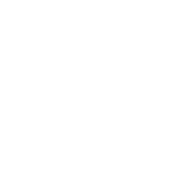 Opera Skateboards logo